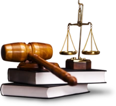 Rosa cabaço - Solicitadora